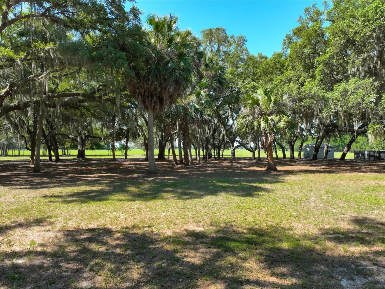 TROTTING HORSE LN, TAVARES, FL — photo 14