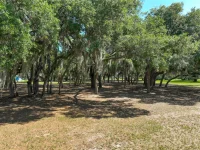 TROTTING HORSE LN — photo 17