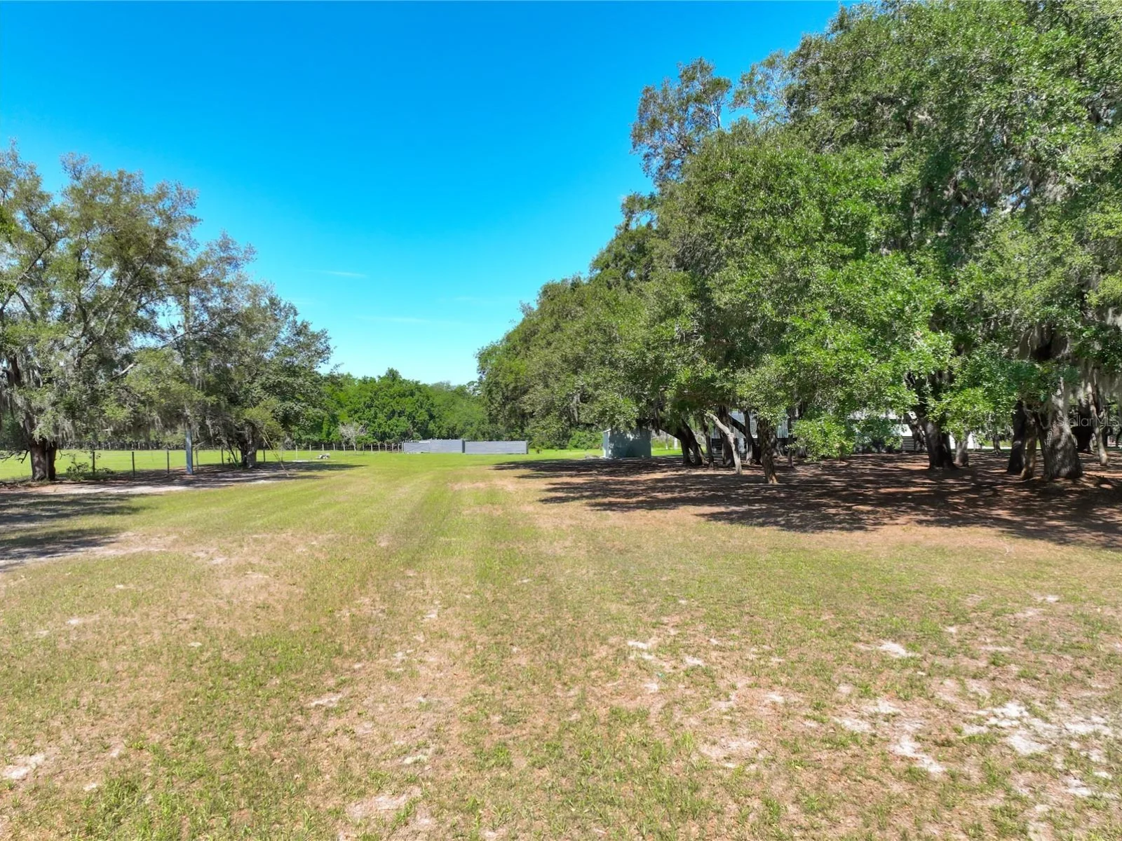 TROTTING HORSE LN, TAVARES, FL — photo 20