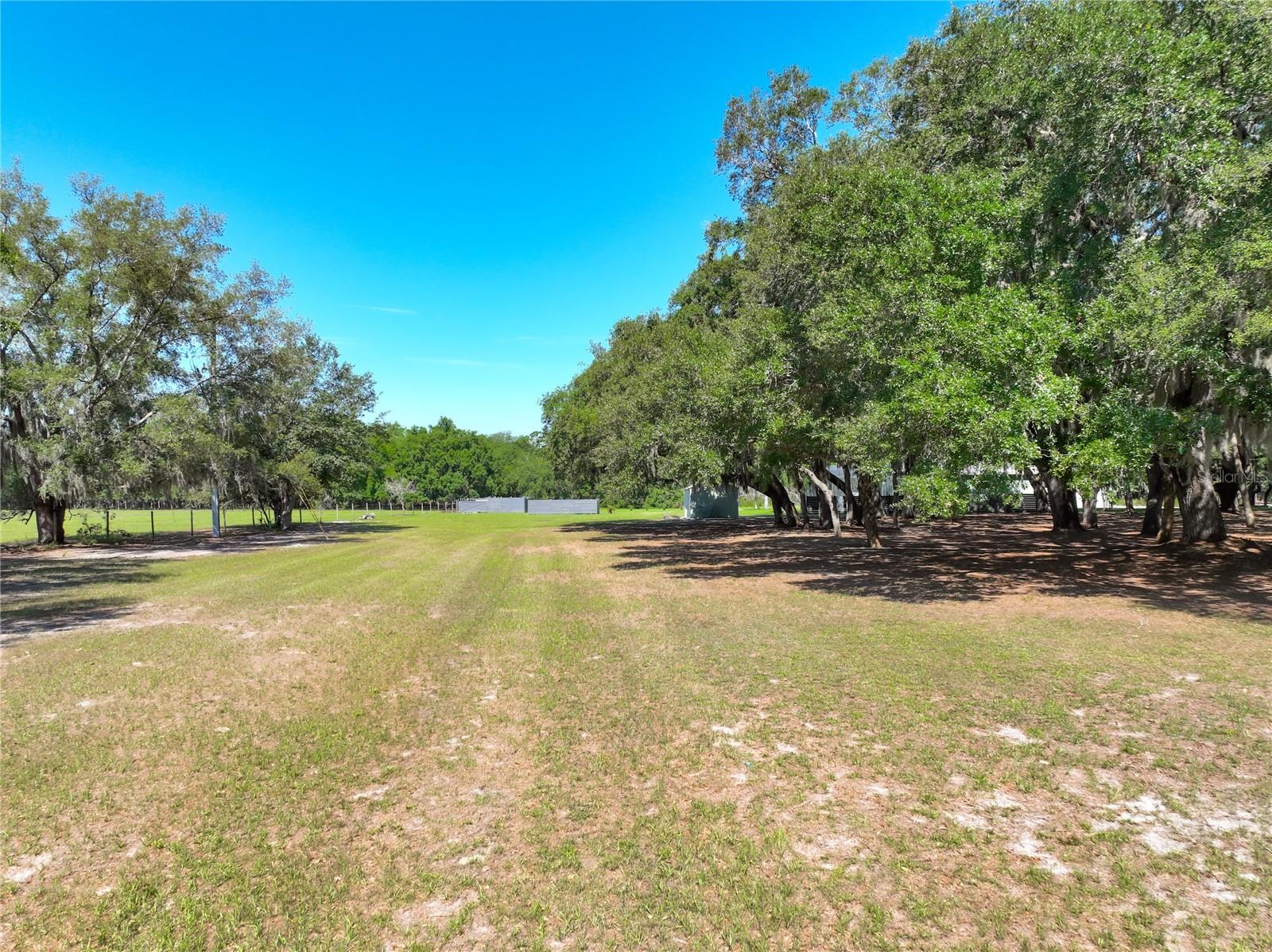 TROTTING HORSE LN, TAVARES, FL — photo 19
