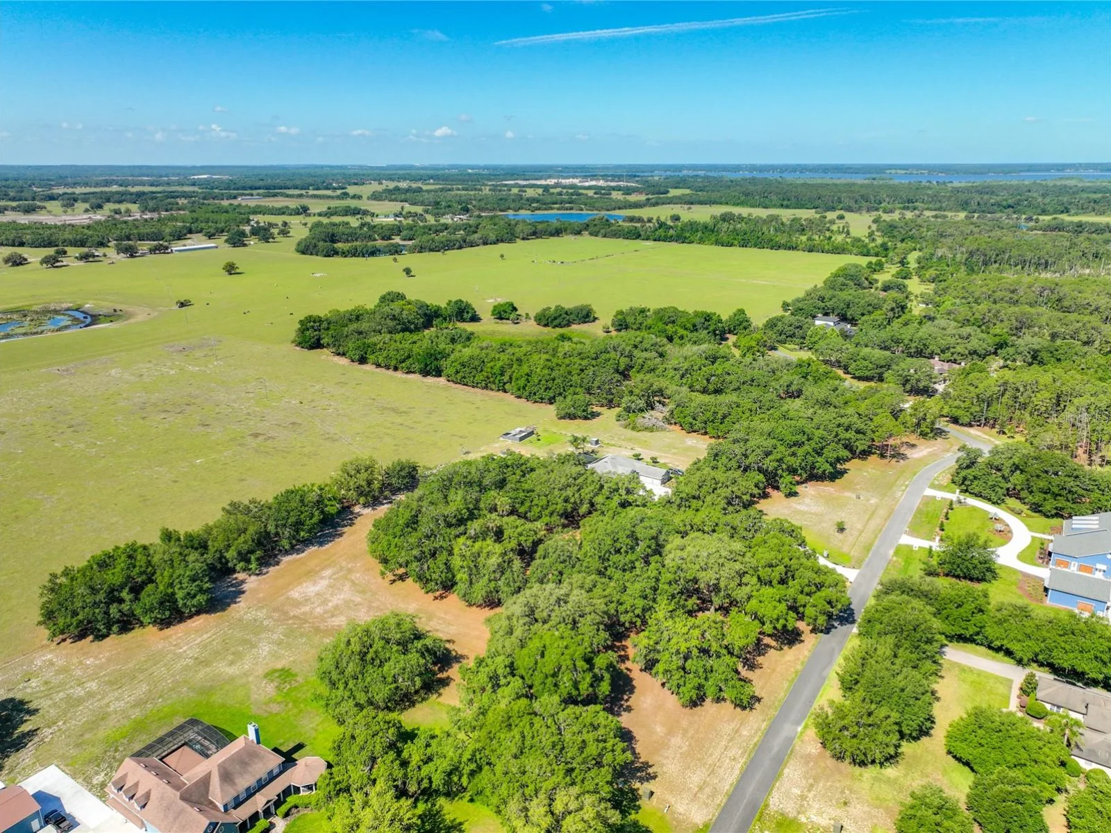 TROTTING HORSE LN, TAVARES, FL — photo 22