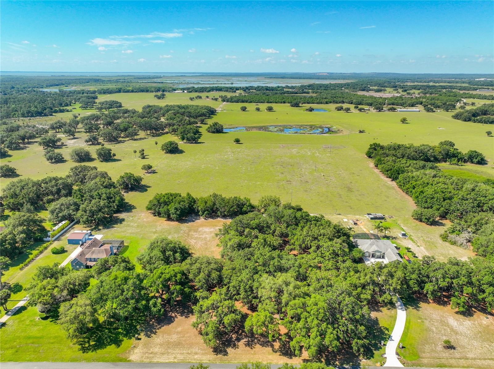TROTTING HORSE LN, TAVARES, FL — photo 23