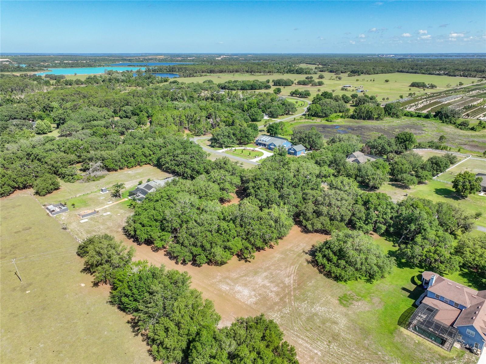 TROTTING HORSE LN, TAVARES, FL — photo 29