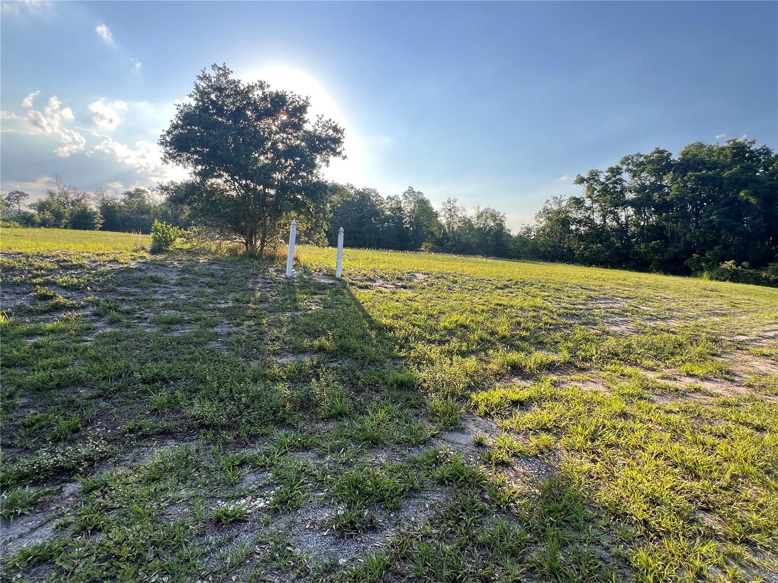 7513 S GEORGE BLVD, SEBRING, FL — photo 3