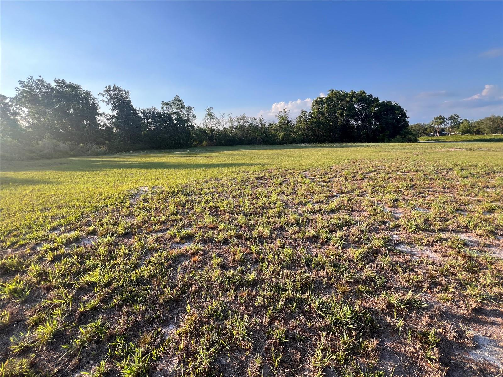 7513 S GEORGE BLVD, SEBRING, FL — photo 7