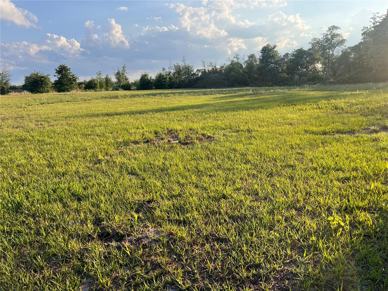 7513 S GEORGE BLVD, SEBRING, FL — photo 11