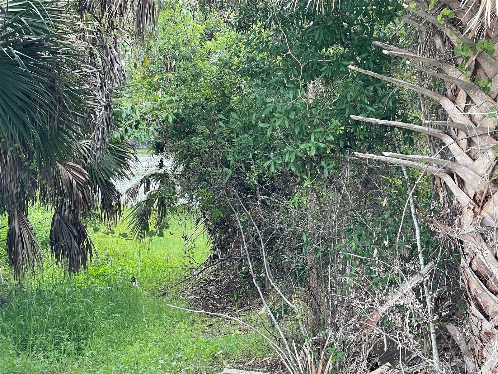 12152 BORAX AVE, PUNTA GORDA, FL — photo 3