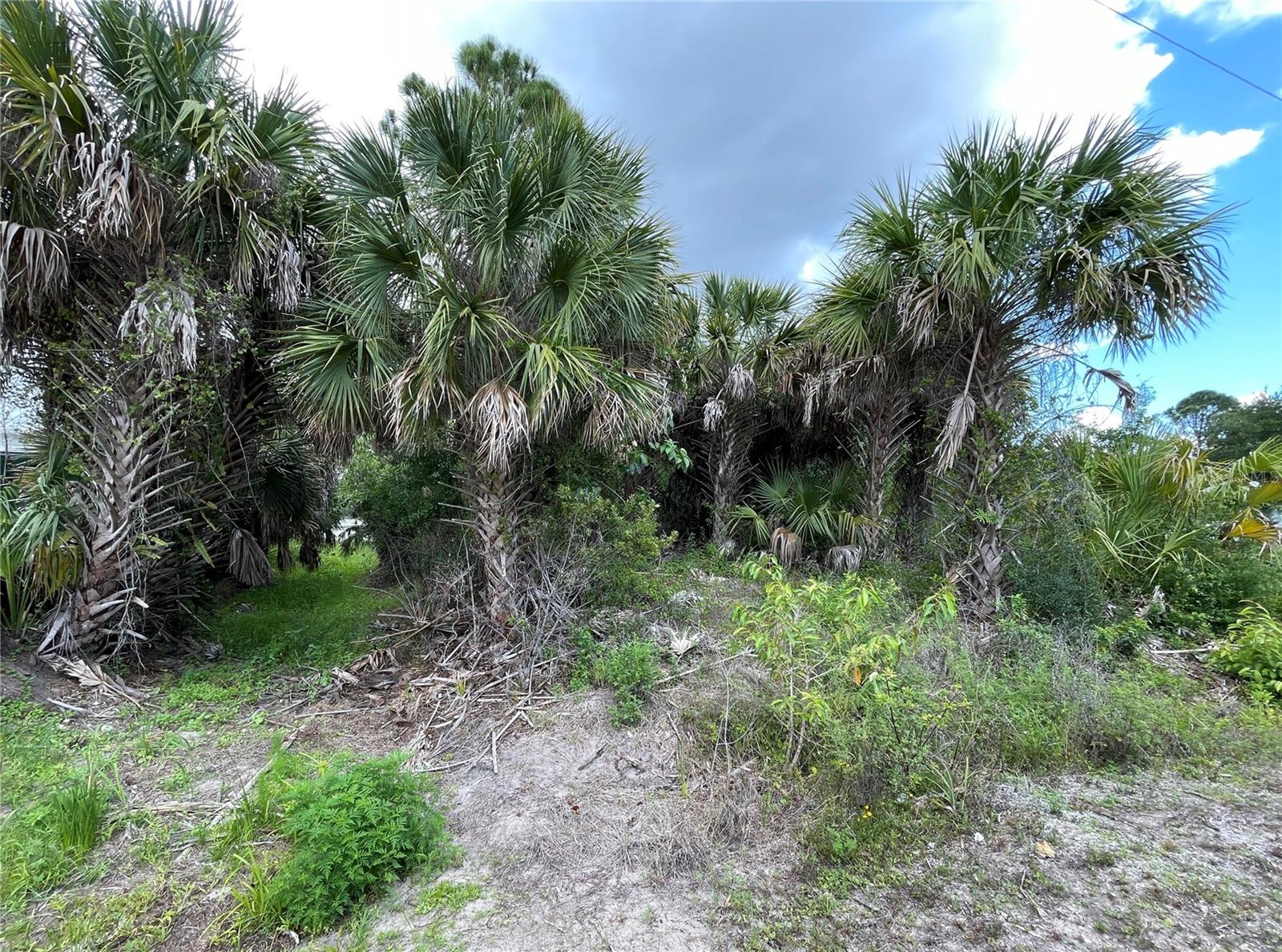 12152 BORAX AVE, PUNTA GORDA, FL — photo 5