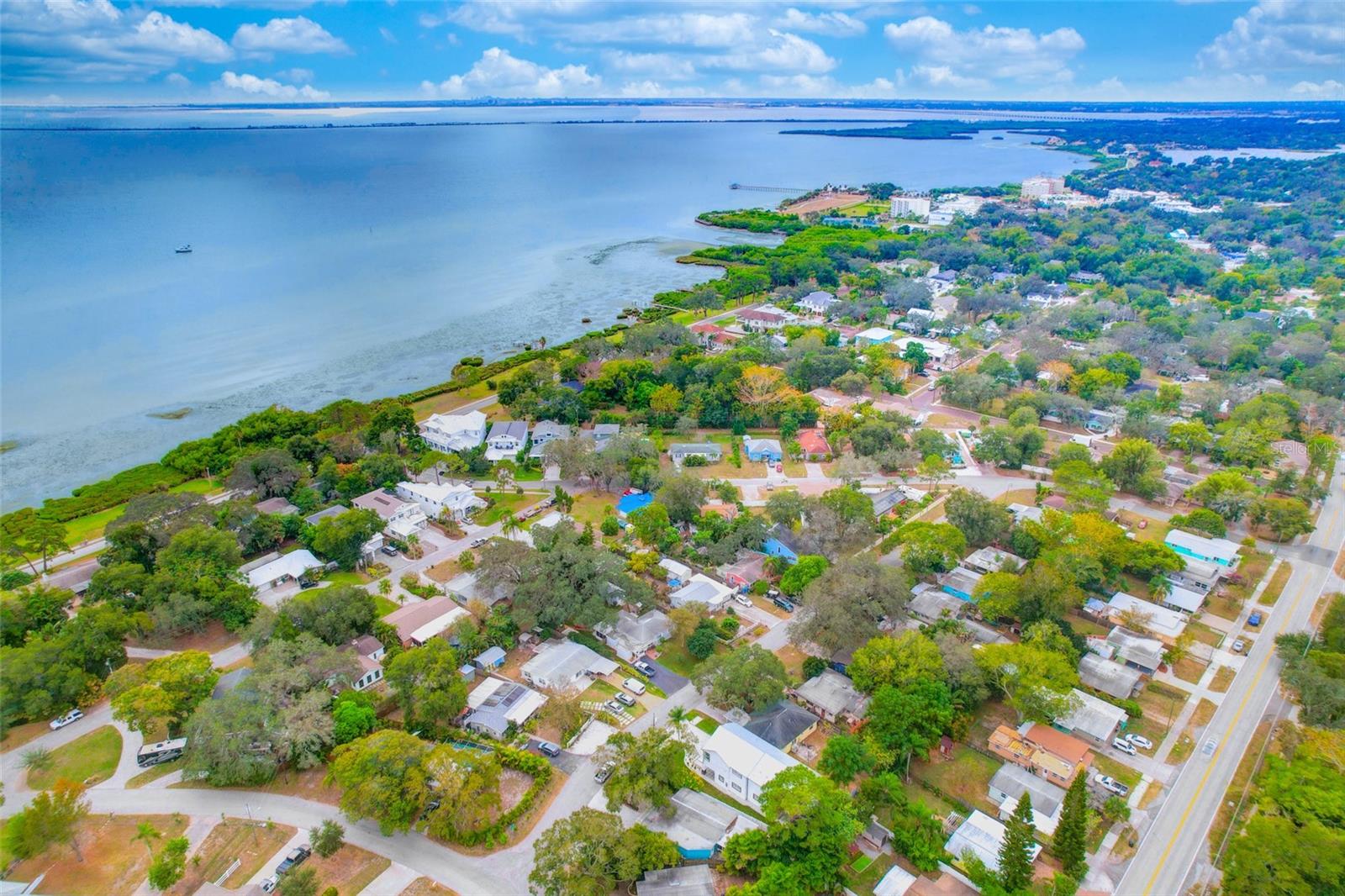 1105 CONANT AVE, SAFETY HARBOR, FL — photo 4
