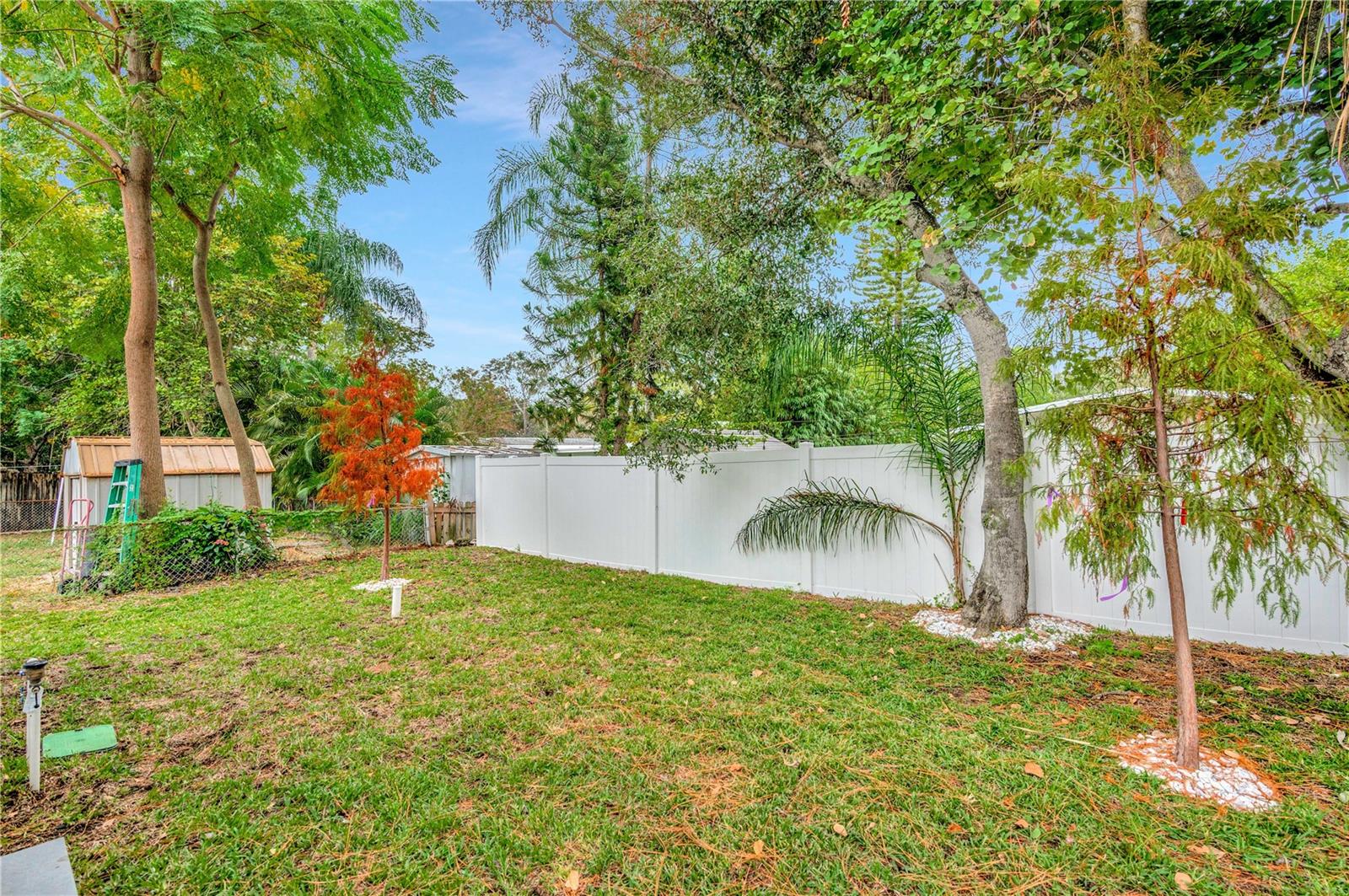 1105 CONANT AVE, SAFETY HARBOR, FL — photo 39