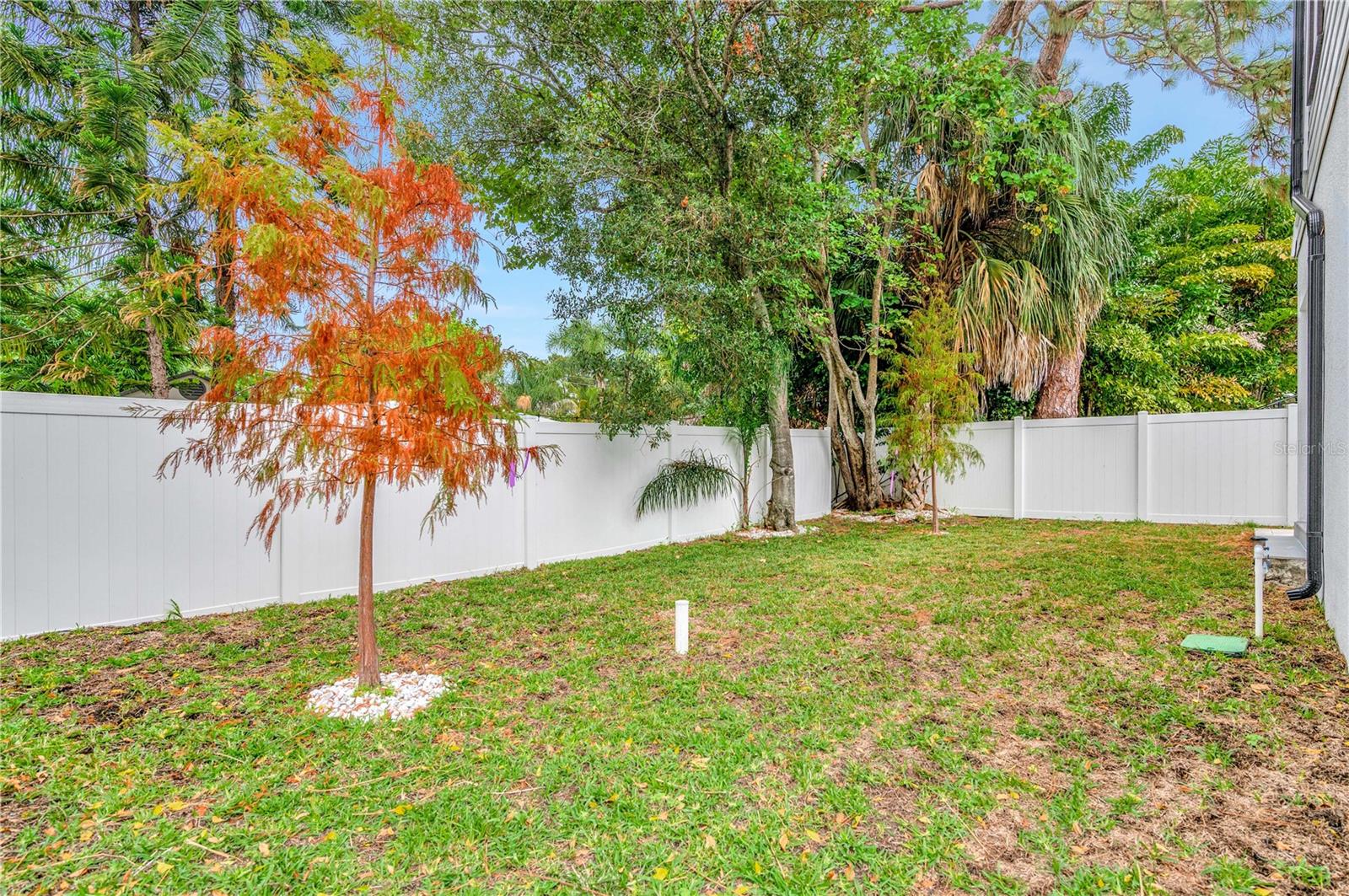 1105 CONANT AVE, SAFETY HARBOR, FL — photo 40