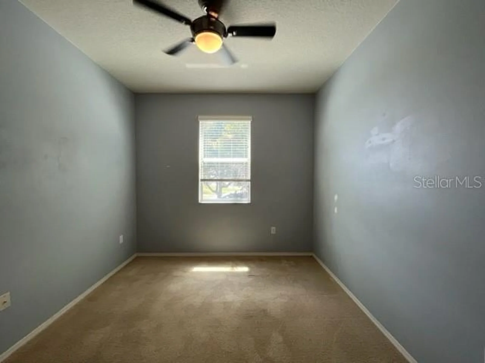 13527 PITANGA ST, CLERMONT, FL — photo 22
