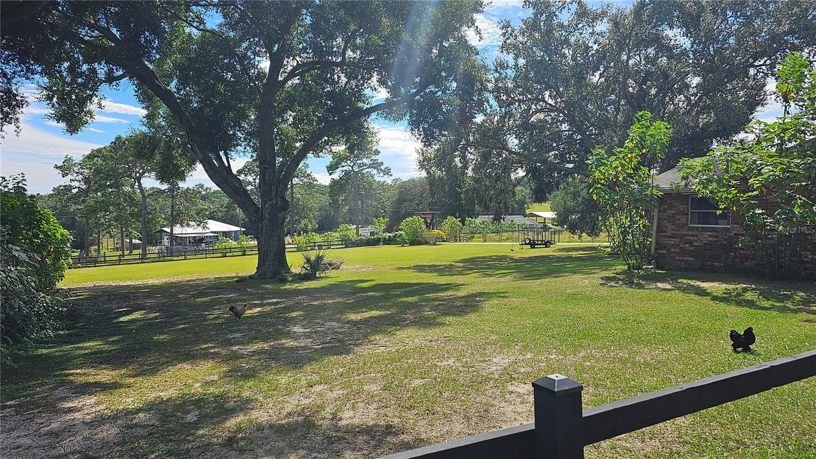 4107 DOVE VALLEY LN, LADY LAKE, FL — photo 34