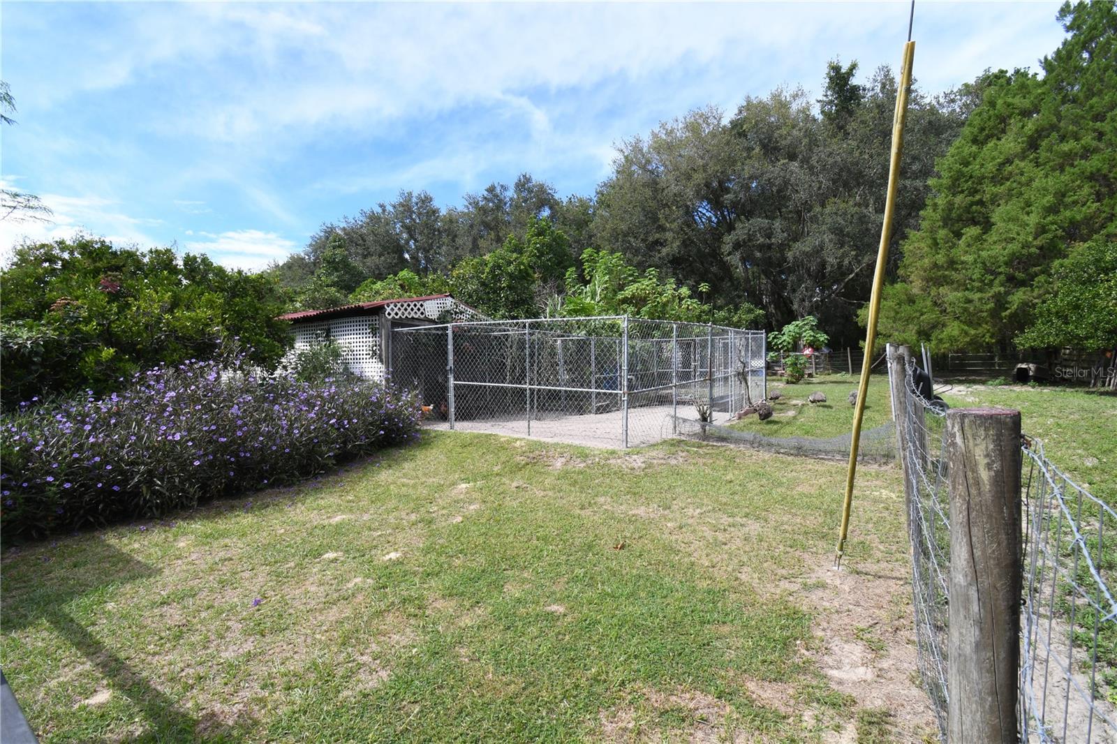 4107 DOVE VALLEY LN, LADY LAKE, FL — photo 40