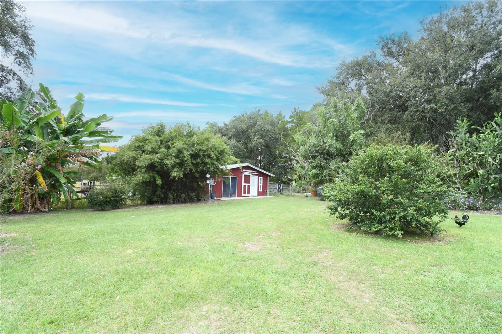 4107 DOVE VALLEY LN, LADY LAKE, FL — photo 48