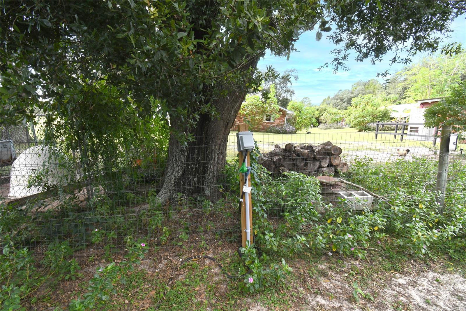 4107 DOVE VALLEY LN, LADY LAKE, FL — photo 73