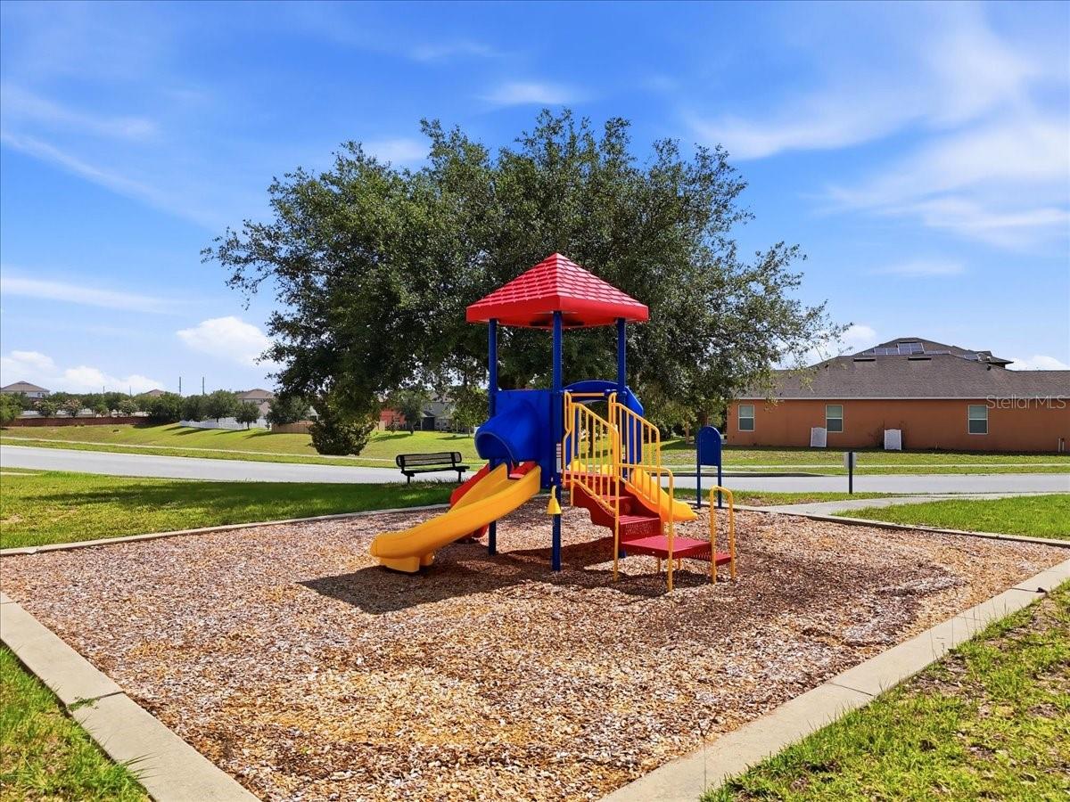 9012 ORANGE BLOSSOM LOOP, HAINES CITY, FL — photo 62