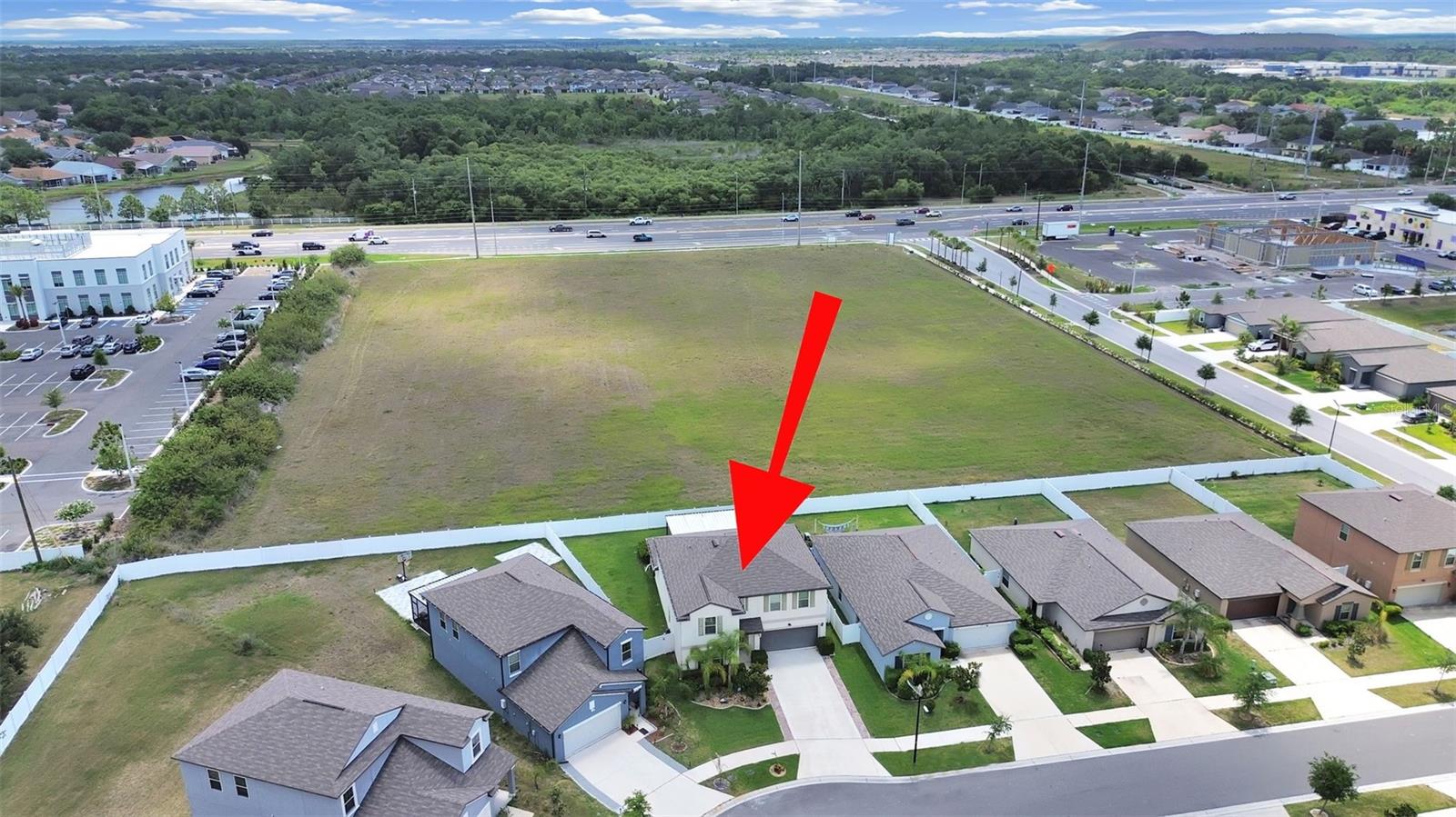 10384 SCARLET SKIMMER, RIVERVIEW, FL — photo 47