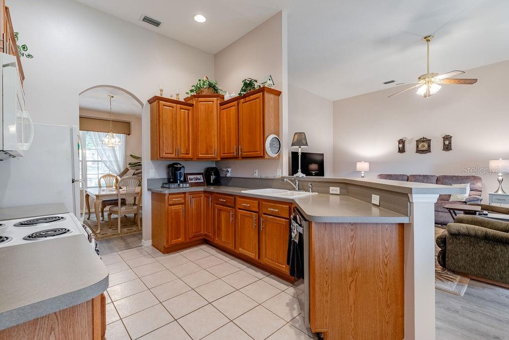 3370 SAINT LUCIA CT, TAVARES, FL — photo 25