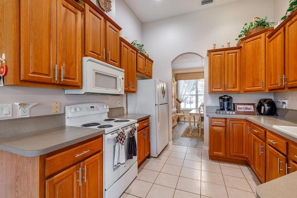 3370 SAINT LUCIA CT, TAVARES, FL — photo 27