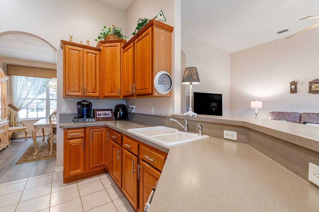 3370 SAINT LUCIA CT, TAVARES, FL — photo 30