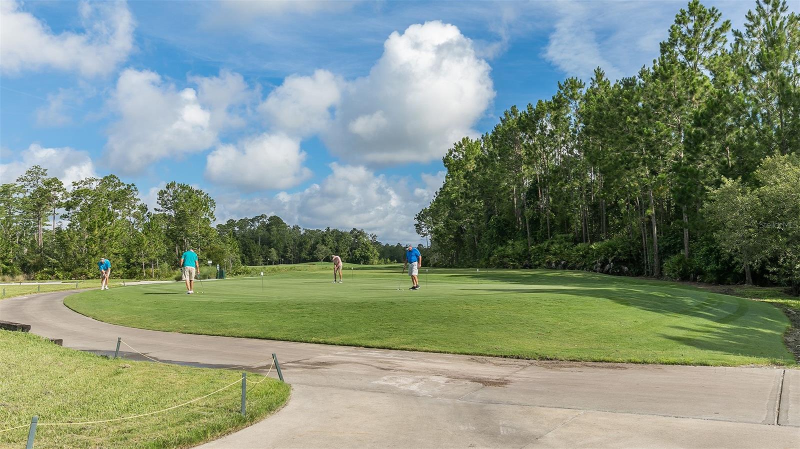 7 DIVOT PL, BUNNELL, FL — photo 46