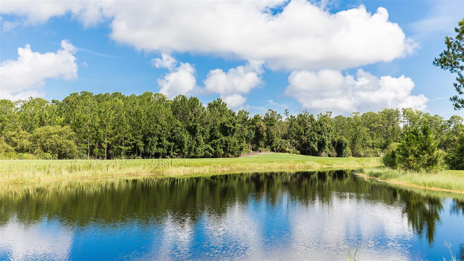 7 DIVOT PL, BUNNELL, FL — photo 47