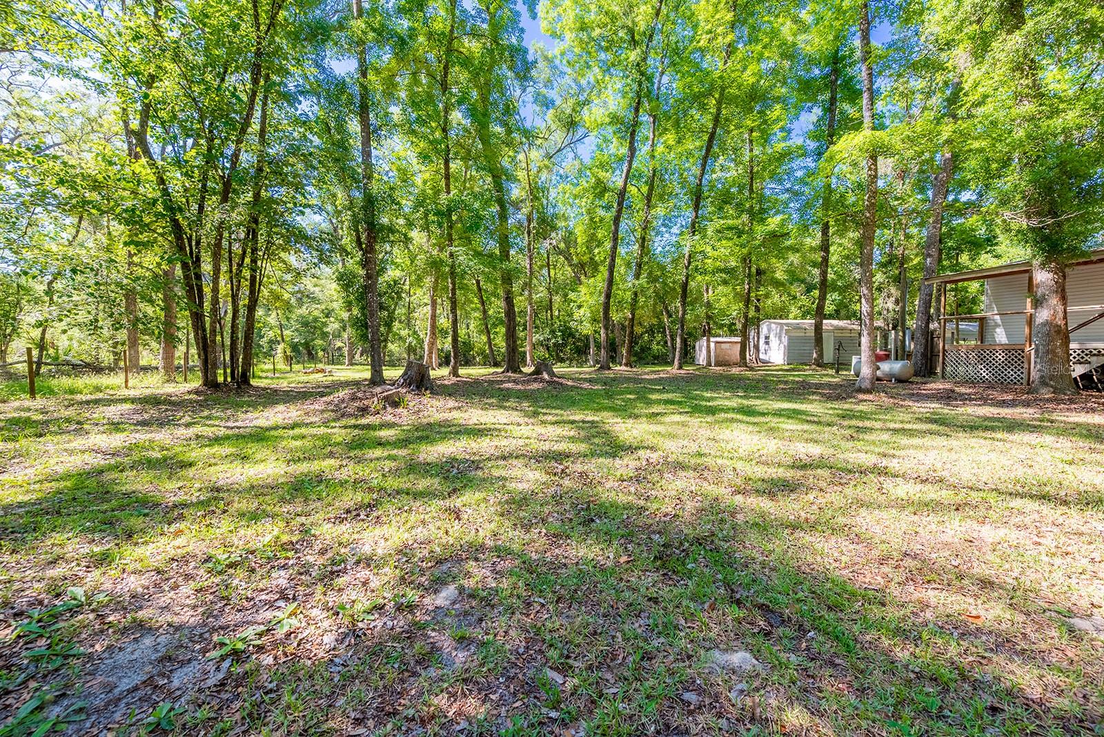 343 NE 743RD ST, OLD TOWN, FL — photo 40
