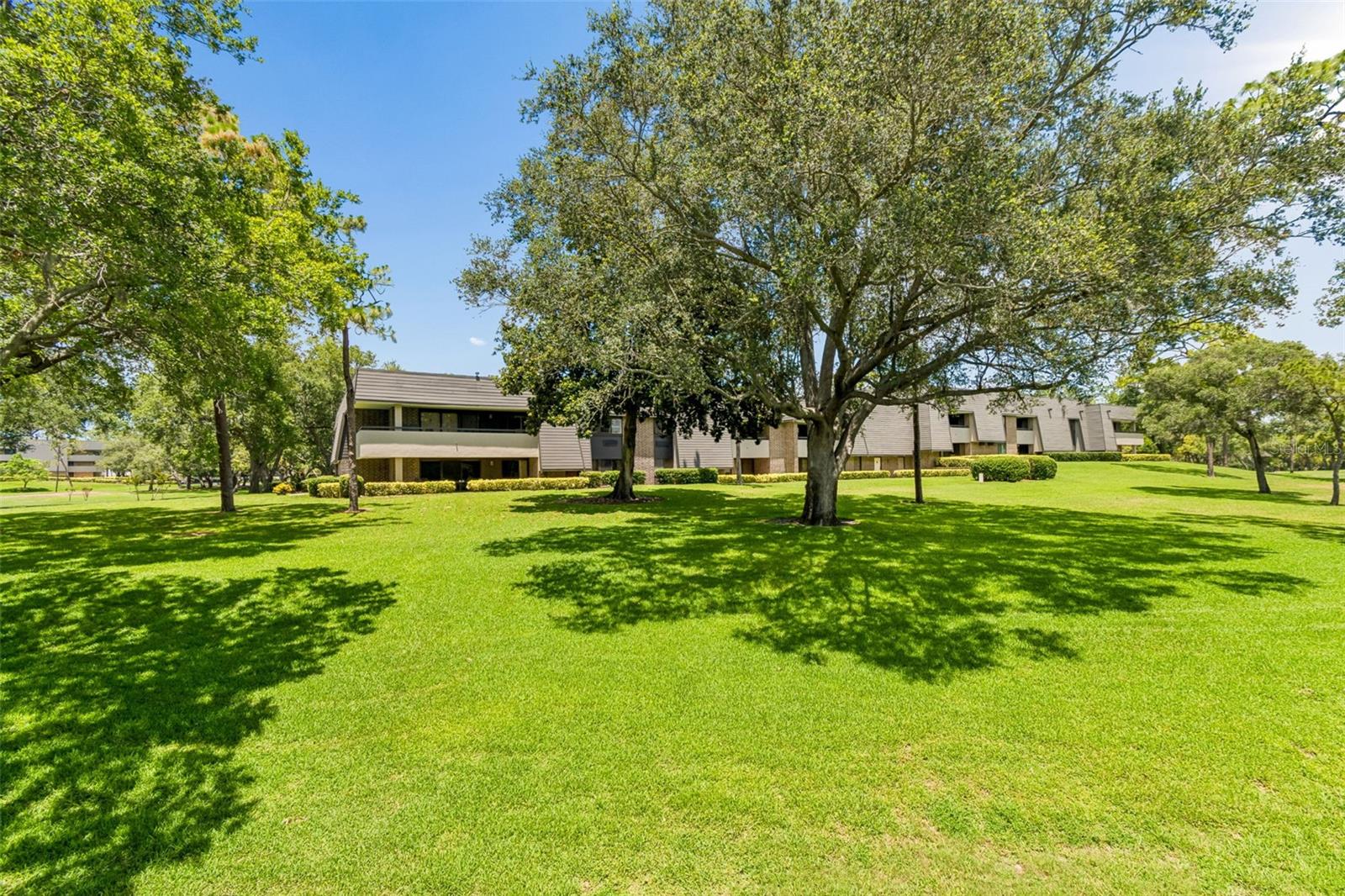 36750 US HIGHWAY 19 #21202, PALM HARBOR, FL — photo 53