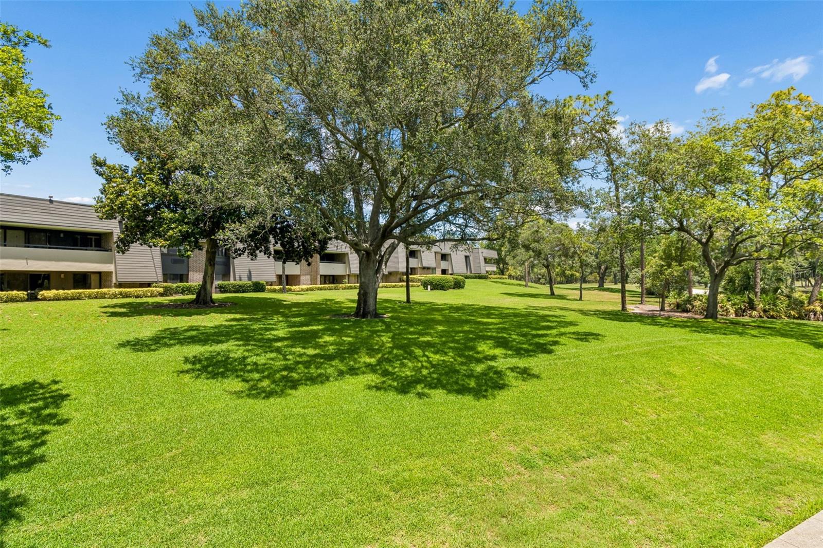 36750 US HIGHWAY 19 #21202, PALM HARBOR, FL — photo 54