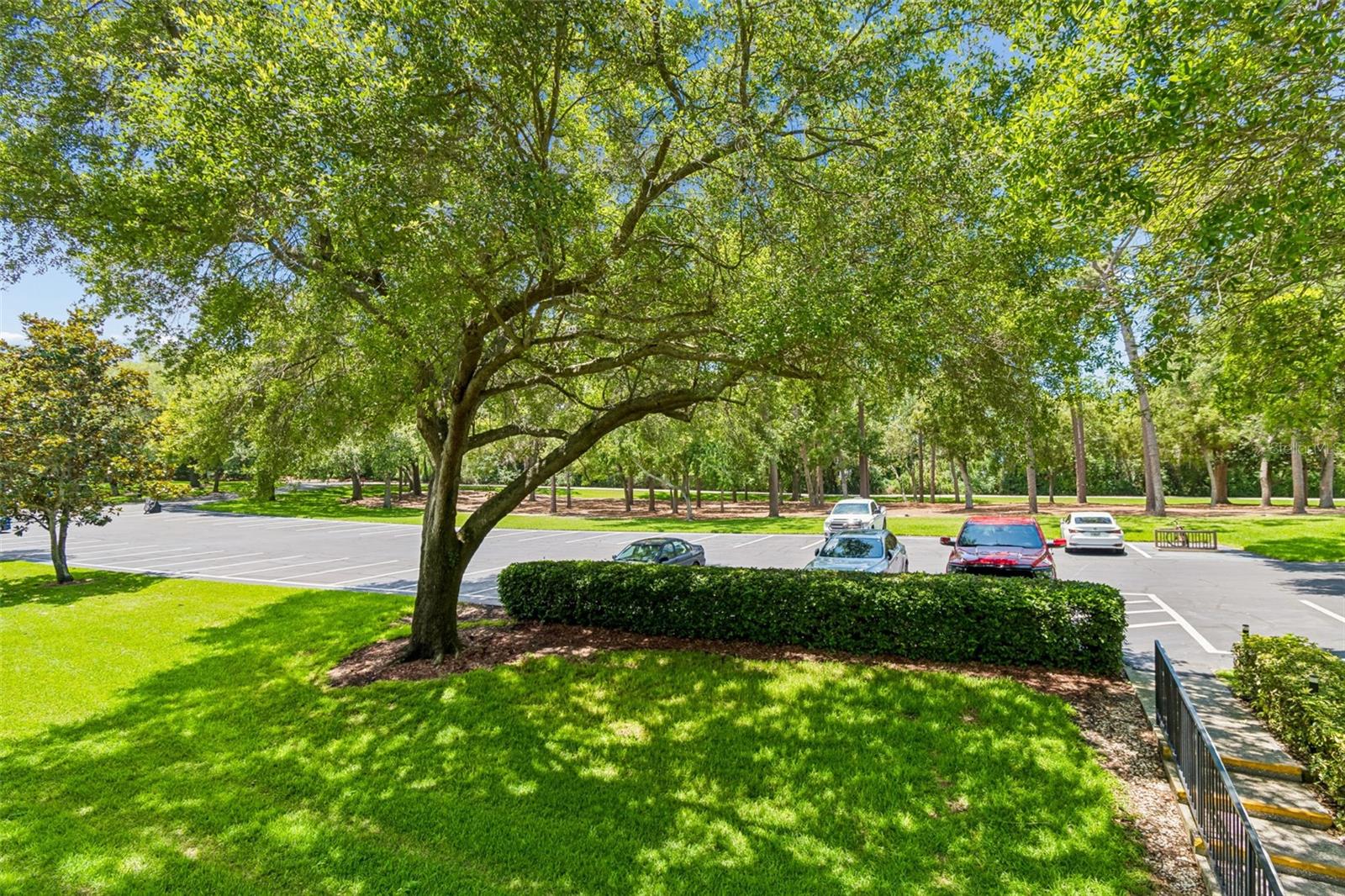 36750 US HIGHWAY 19 #21202, PALM HARBOR, FL — photo 55