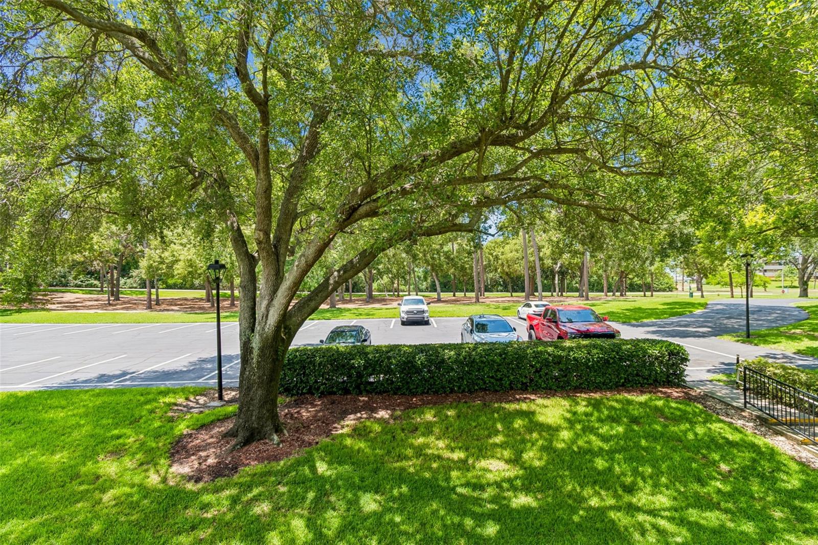 36750 US HIGHWAY 19 #21202, PALM HARBOR, FL — photo 56