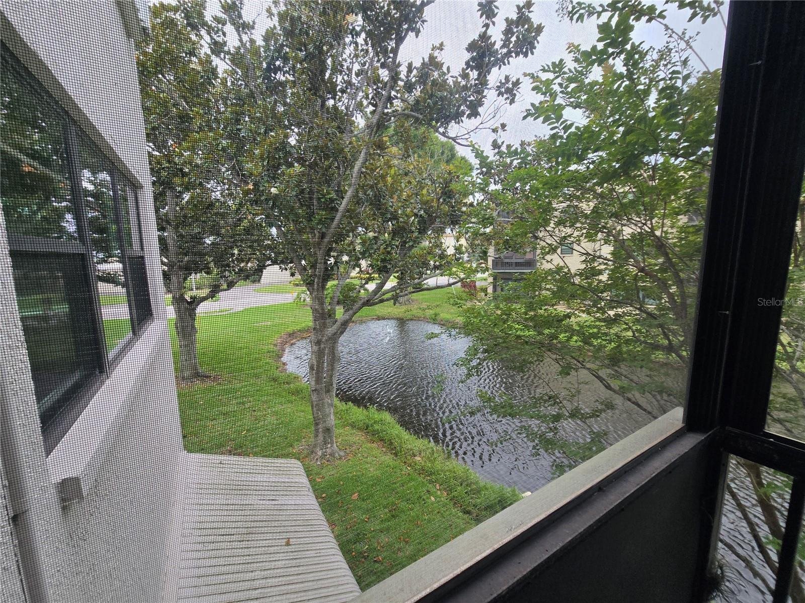 7941 58TH AVE N #202, ST PETERSBURG, FL — photo 36