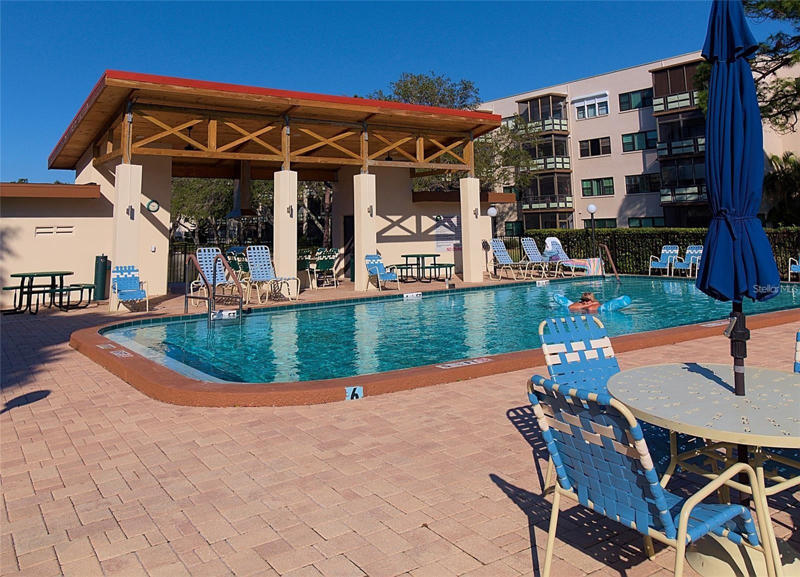 7941 58TH AVE N #202, ST PETERSBURG, FL — photo 43