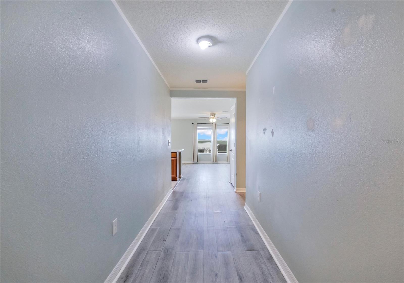 2465 BEGONIA ST, MASCOTTE, FL — photo 9