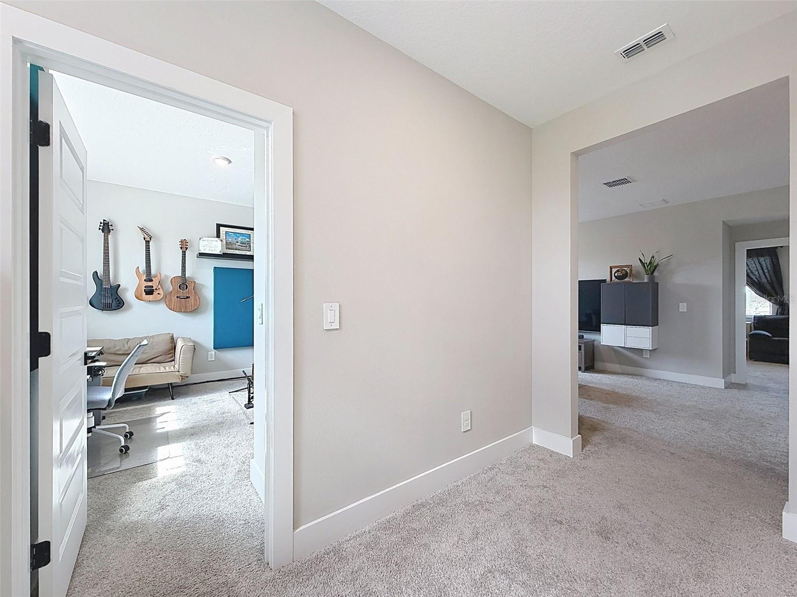 3726 SAVANNA PALMS CT, BRADENTON, FL — photo 53