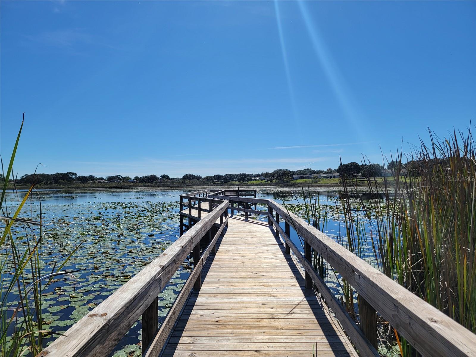 3600 MOUNT HOPE LOOP, LEESBURG, FL — photo 154
