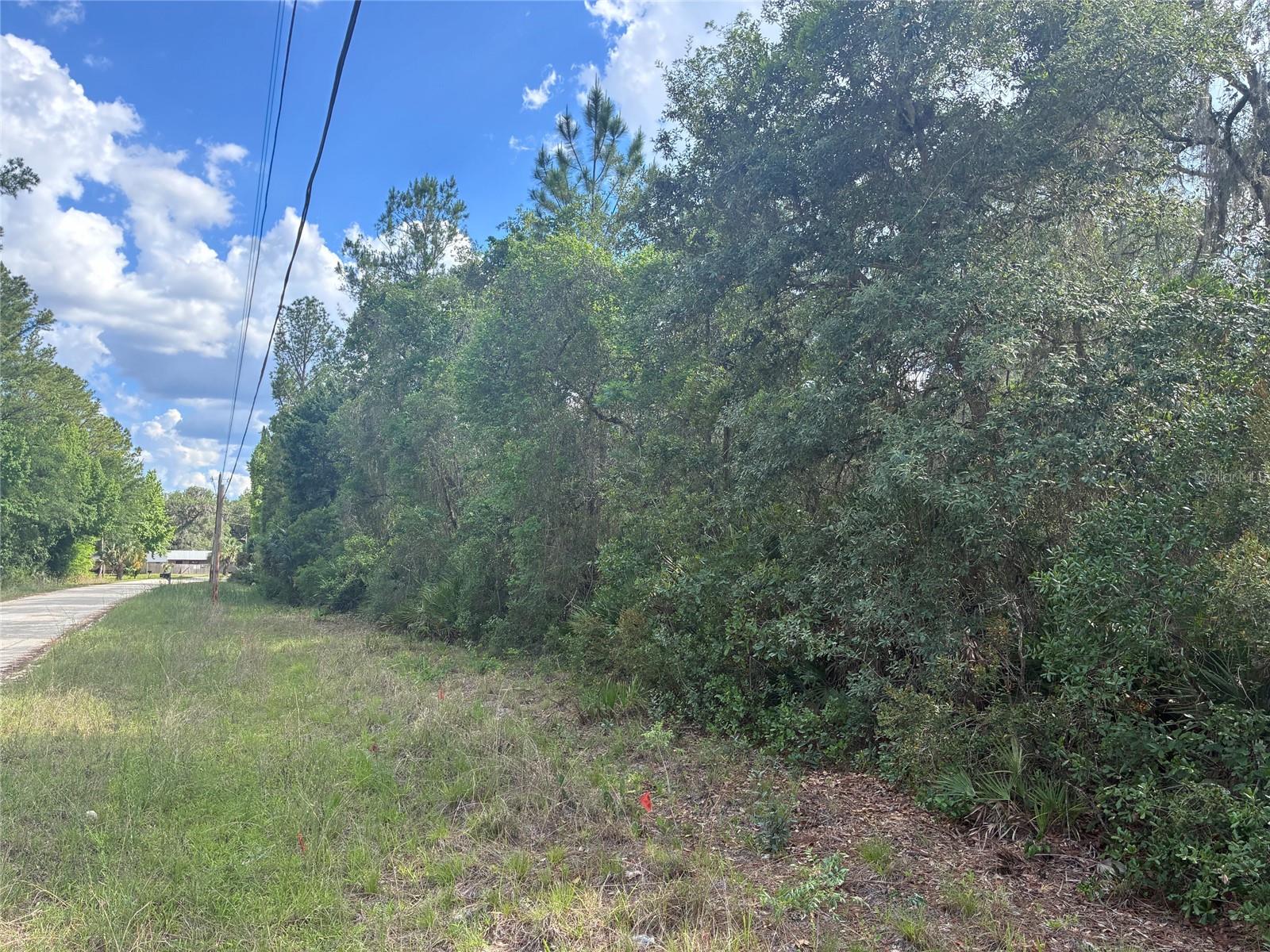 16464 NE 35 RD, CITRA, FL