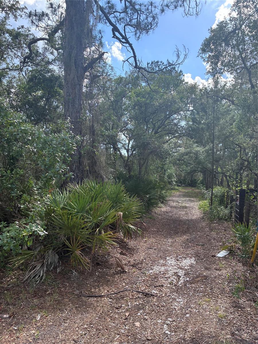 16464 NE 35 RD, CITRA, FL — photo 2