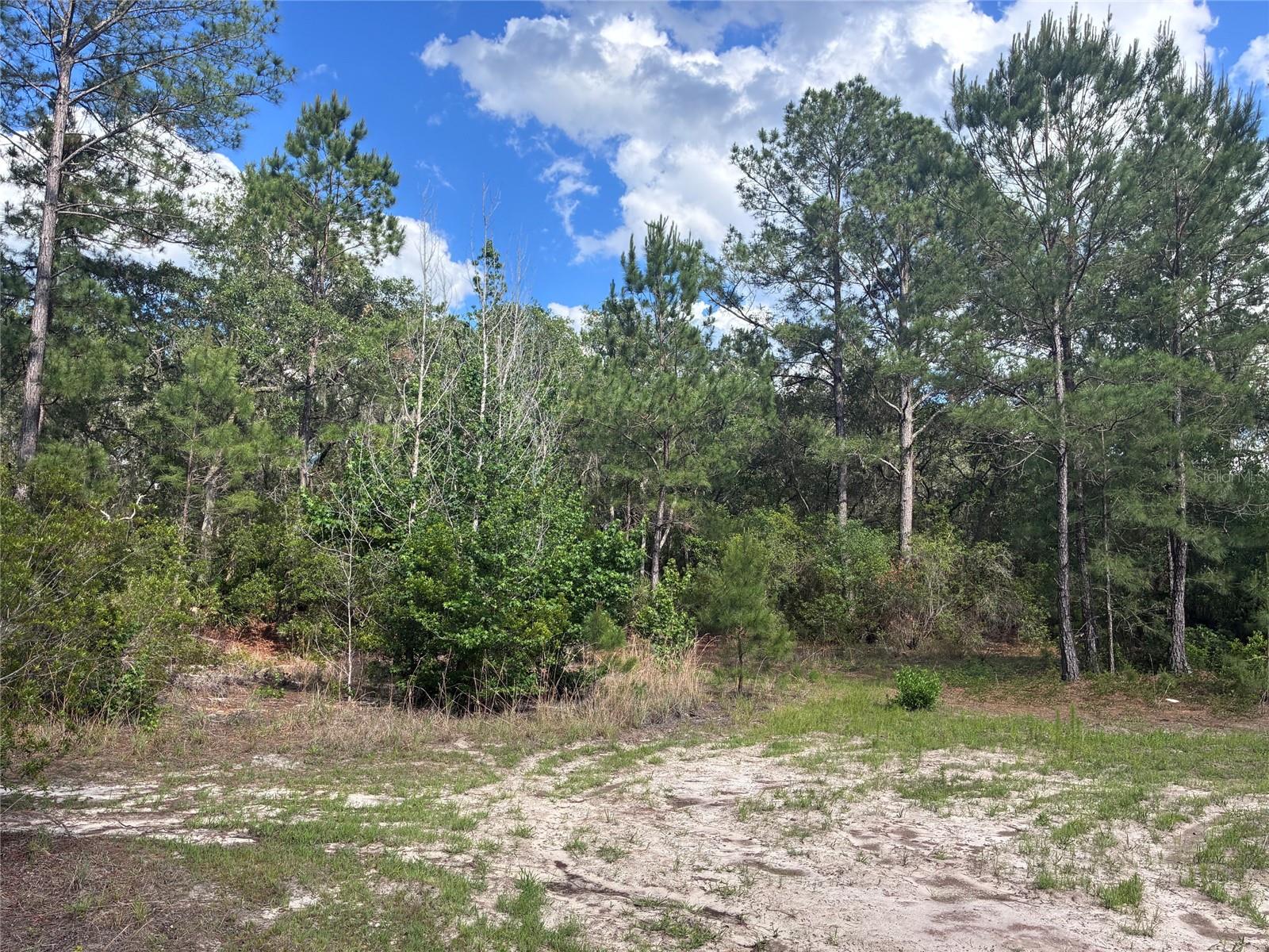 16464 NE 35 RD, CITRA, FL — photo 4