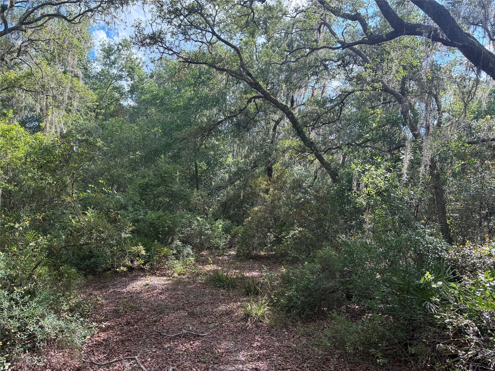 16464 NE 35 RD, CITRA, FL — photo 5