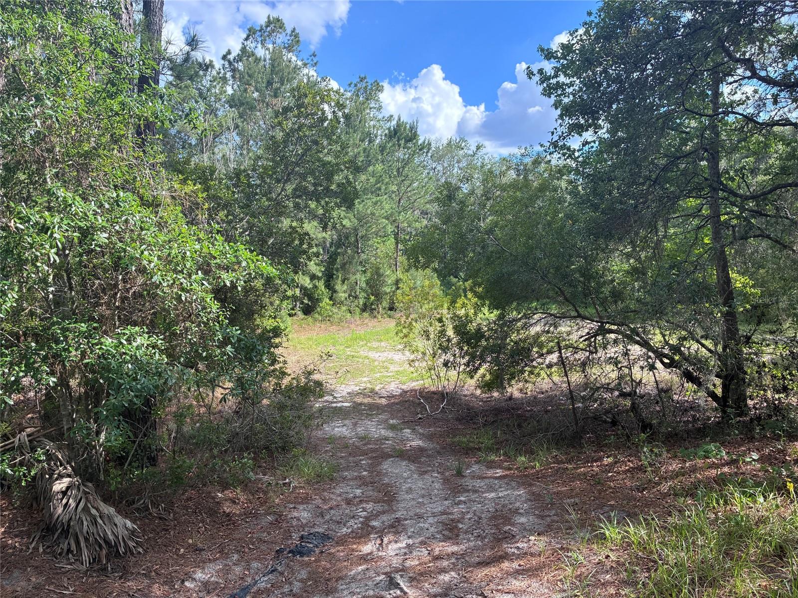 16464 NE 35 RD, CITRA, FL — photo 6