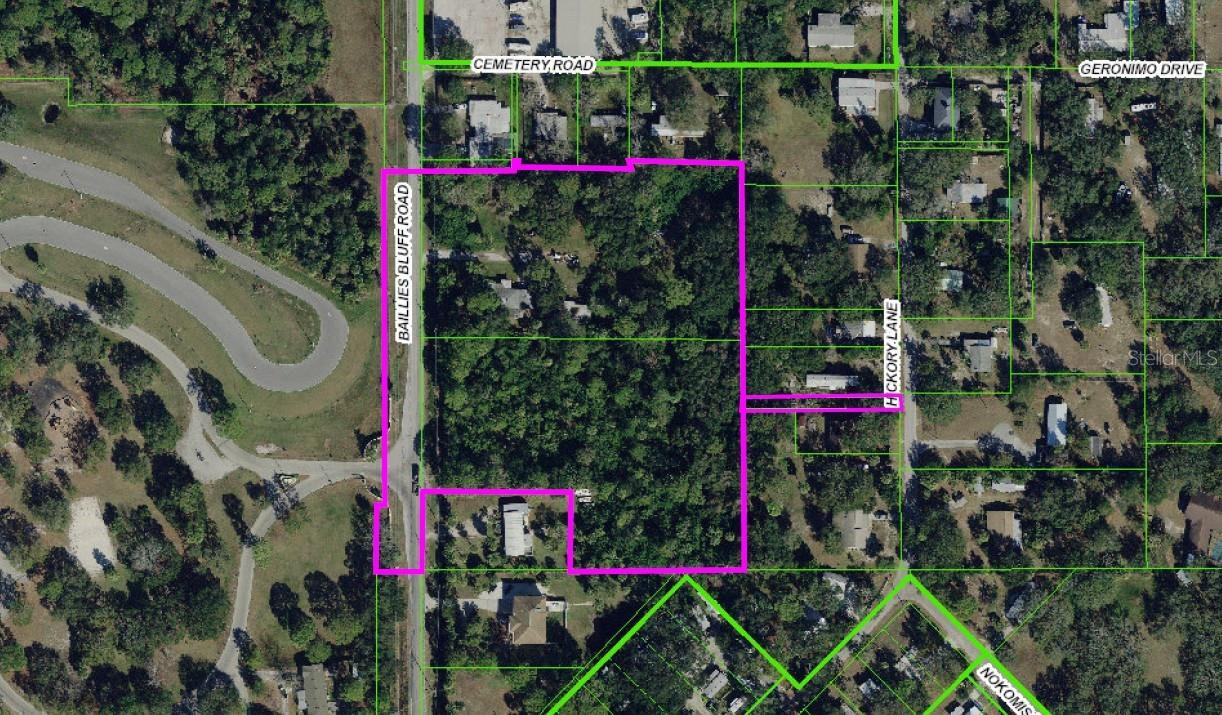 1204 BAILLIES BLUFF RD, HOLIDAY, FL — photo 2