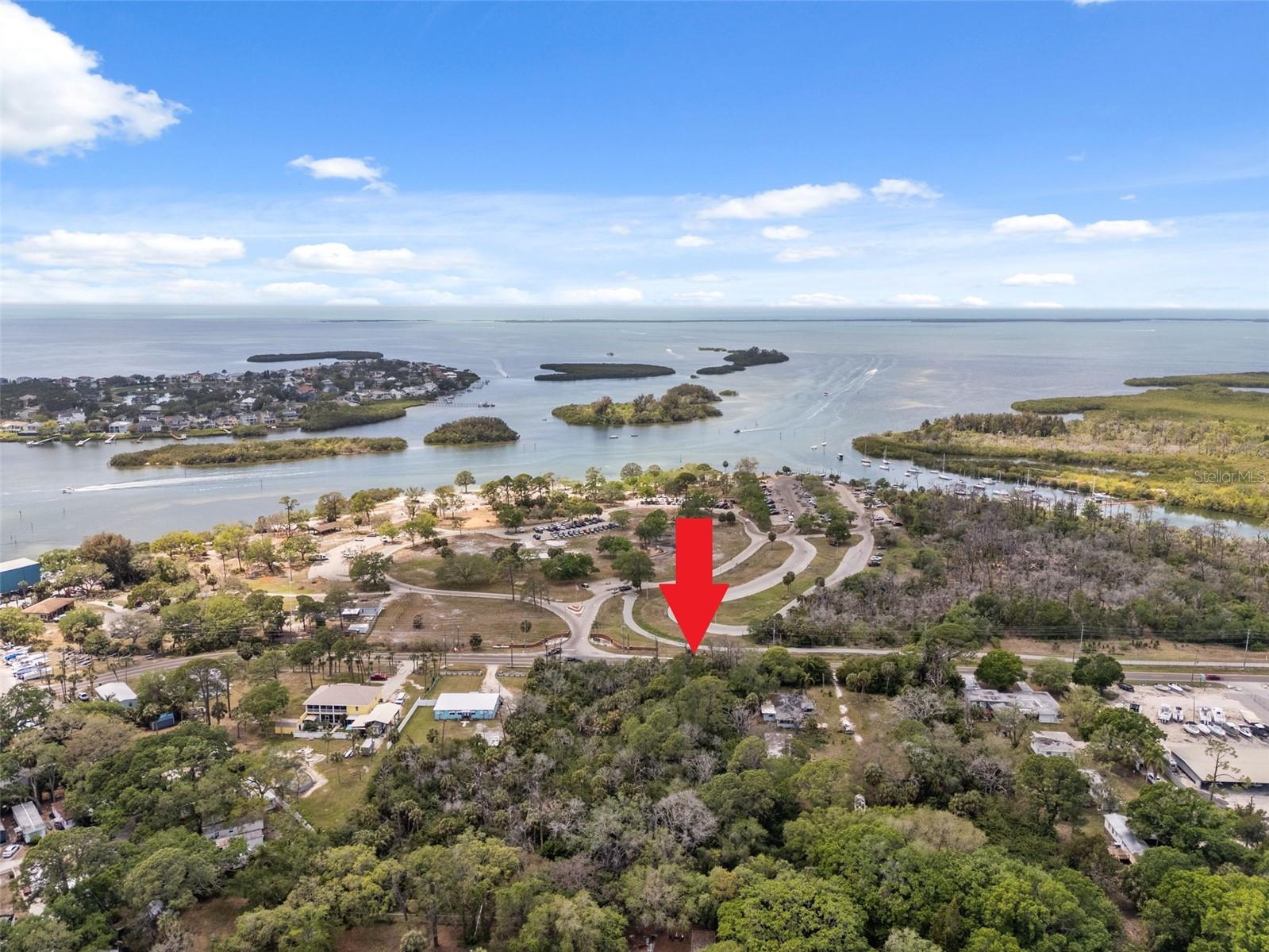 1204 BAILLIES BLUFF RD, HOLIDAY, FL — photo 4