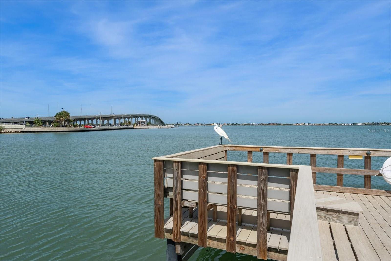 100 BLUFF VIEW DR #506C, BELLEAIR BLUFFS, FL — photo 36