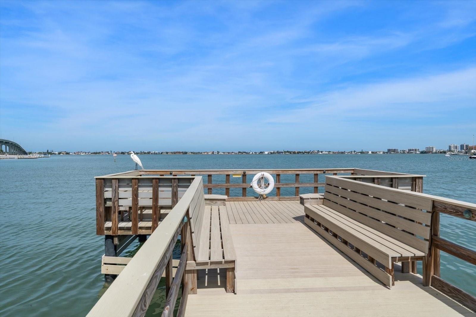 100 BLUFF VIEW DR #506C, BELLEAIR BLUFFS, FL — photo 38