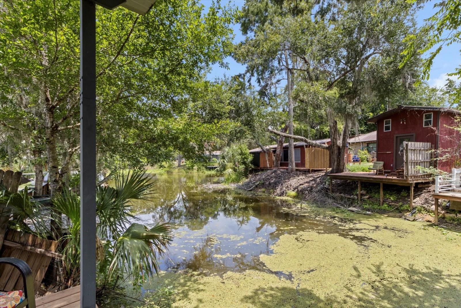 609 S REDBUD TER, INVERNESS, FL — photo 2