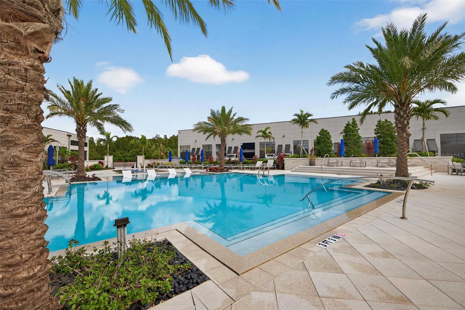 6500 MOTOR ENCLAVE WAY #814, TAMPA, FL — photo 12