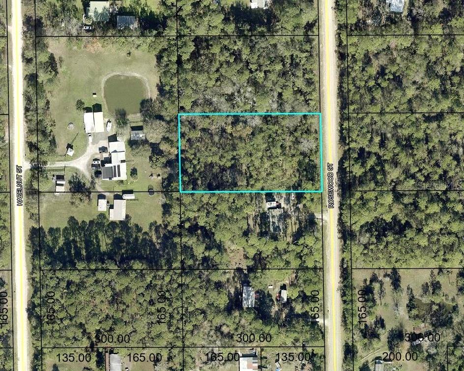 1352 ROSEWOOD ST, BUNNELL, FL