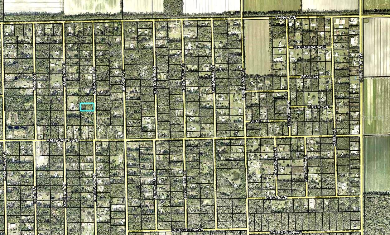 1352 ROSEWOOD ST, BUNNELL, FL — photo 2